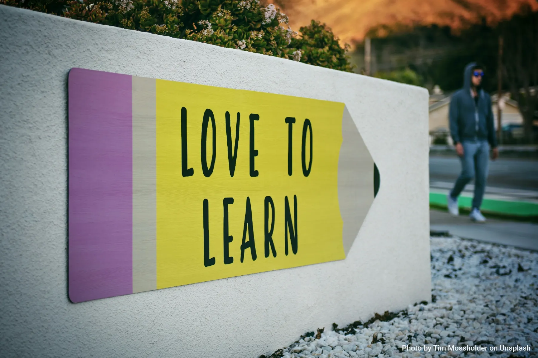 Love to lean